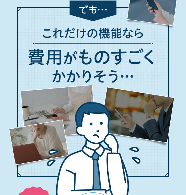 でも…これだけの機能なら費用がものすごくかかりそう…
